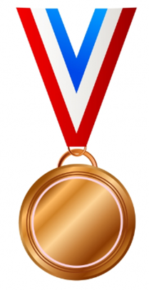 vector image of a bronze medal