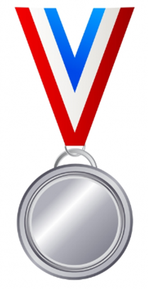 vector image of a silver medal